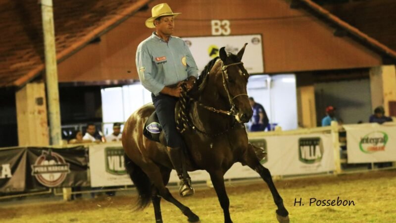 FIM DE SEMANA EM BH TEM SHOWS SERTANEJOS E EXPOSIÇÃO HERDEIROS DA RAÇA MANGALARGA MARCHADOR