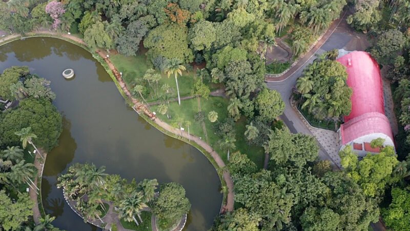 2º Festival Rolé ocupa parques e praças da cidade com atrações culturais