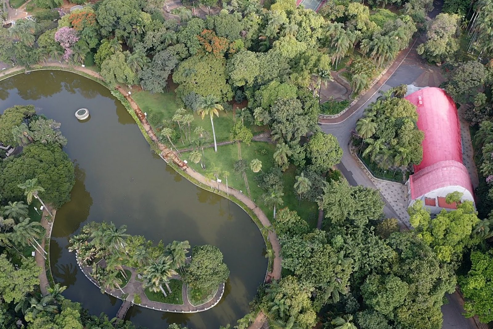 2º Festival Rolé ocupa parques e praças da cidade com atrações culturais