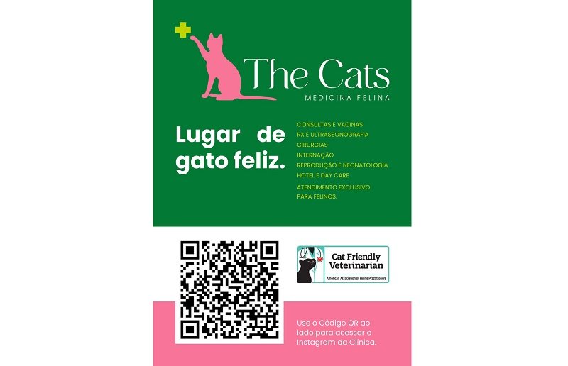 Clínica veterinária exclusiva para felinos será inaugurada em Belo Horizonte, dia 20/11, no Bairro Mangabeiras