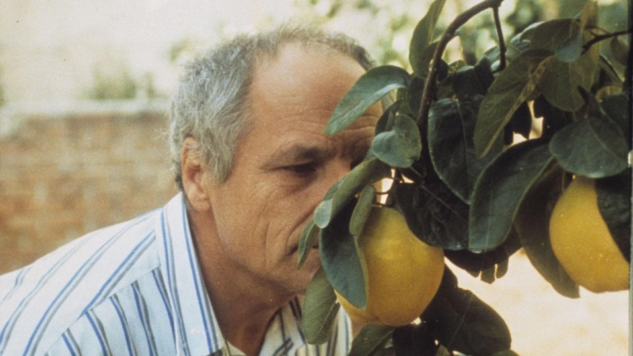 Instituto Cervantes BH, em coorganização com a Fundação Clóvis Salgado, celebra um dos maiores diretores espanhóis, Víctor Erice, em mostra gratuita