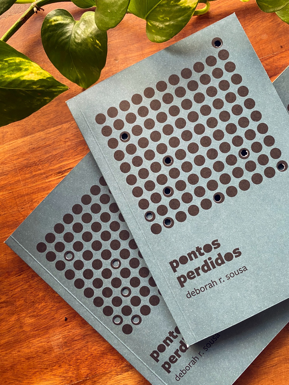 Escritora mineira Deborah R. Sousa participa de rodas de conversa, leitura e oficinas gratuitas sobre seu livro recém-lançado Pontos perdidos